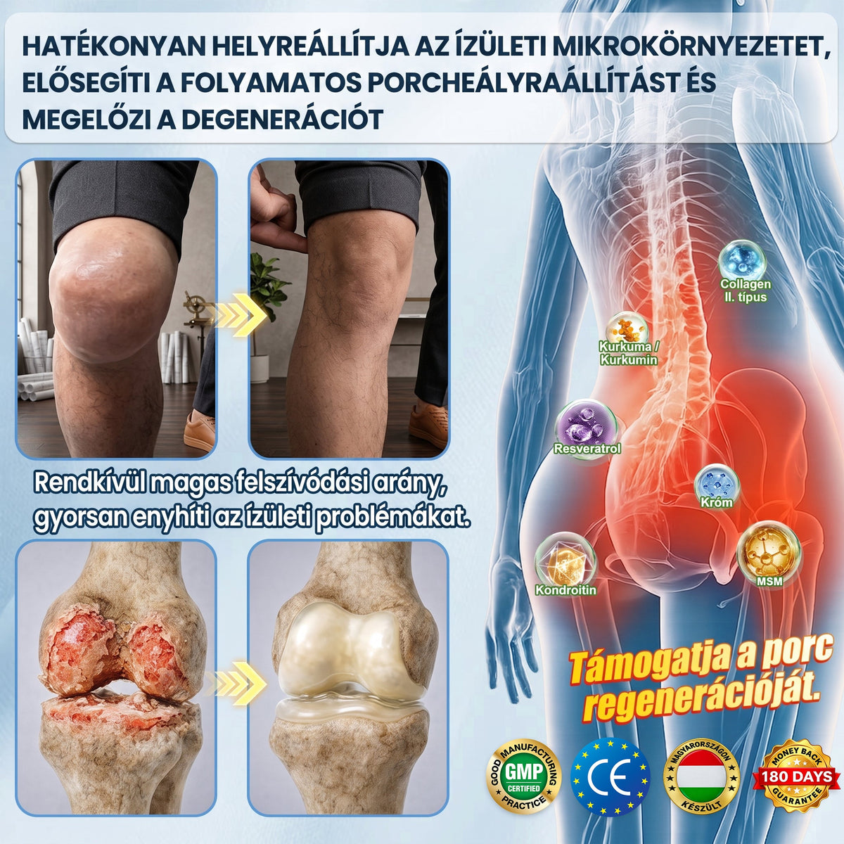🔥🔥FFBSI® 𝐀𝗠𝗣𝑲𝐌𝗼𝗿𝗶𝗻𝗴𝗮𝐁𝗲𝗿𝗯𝗲𝗿𝗶𝗻𝗲 𝟏𝟎-𝗶𝗻-𝟏 𝐌𝗲𝘁𝗮𝗯𝗼𝗹𝗶𝗸𝘂𝘀 𝐓𝗮́𝗺𝗼𝗴𝗮𝘁𝗮́𝘀 – 𝟏𝟎 𝗳𝗲́𝗹𝗲 𝗵𝗮𝘁𝗼́𝗮𝗻𝘆𝗮𝗴 𝗮 𝗺𝗲𝘁𝗮𝗯𝗼𝗹𝗶𝘇𝗺𝘂𝘀, 𝗲𝗻𝗲𝗿𝗴𝗶𝗮, 𝗮𝗹𝘃𝗮́𝘀, 𝗶́𝘇𝘂̈𝗹𝗲𝘁𝗲𝗸 𝗲́𝘀 𝗮𝗹𝘁𝗮𝗹𝗮́𝗻𝗼𝘀 𝗸𝗼̈𝘇𝗲́𝗿𝘇𝗲𝘁 𝘁𝗮́𝗺𝗼𝗴𝗮𝘁𝗮́𝘀𝗮́𝗿𝗮