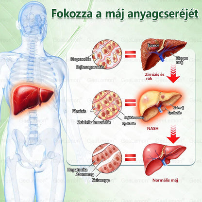 ✅✅Magyar hivatalos bolt🍃 𝐆𝐞𝐞𝐋𝐞𝐦𝐨𝐧® 8 az 1-ben karcsúsító nano mikrotűs tapasz 🇭🇺 Napi egyszeri használat ✅ 7 napon belül látható eredmény – Alkalmas elhízás, szív- és érrendszeri problémák, cukorbetegség és ízületi problémák kezelésére