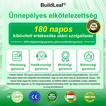 A BuildLeaf® meglepetés frissítést kínál neked! Már így is fantasztikus ajánlatod van, de most egy még jobbat oldottál fel: 50% kedvezményt kapsz a következő vásárlásodból – csak a következő két percben!